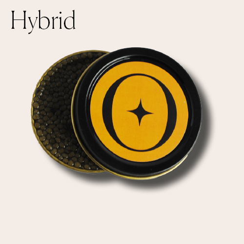 Impossible Caviar - Hybrid